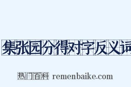 集张园分得对字反义词是什么意思的图片